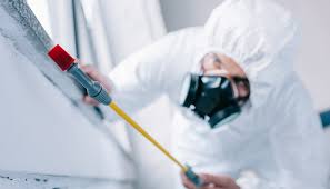 Best Commercial Pest Control  in Mason City, IL